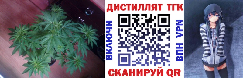 Дистиллят ТГК Wax  как найти закладки  Елец 