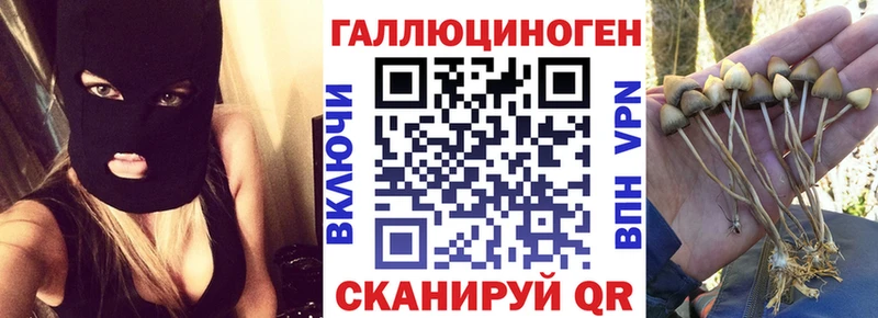 Псилоцибиновые грибы мицелий  купить  сайты  Елец 